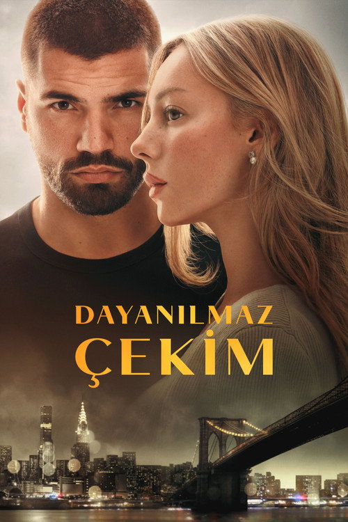 Dayanılmaz Çekim posteri
